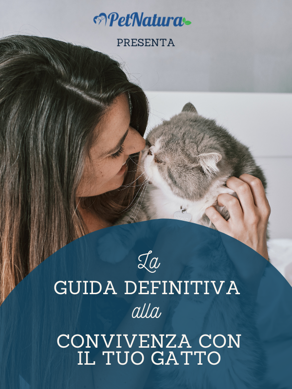 eBook: Guida alla Convivenza Serena con il tuo Gatto
