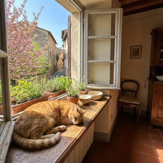 Perché il tuo gatto ha ricominciato a fare pipì fuori dalla lettiera proprio adesso