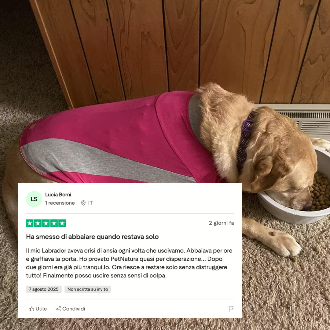 Diffusore Calmante per Cani