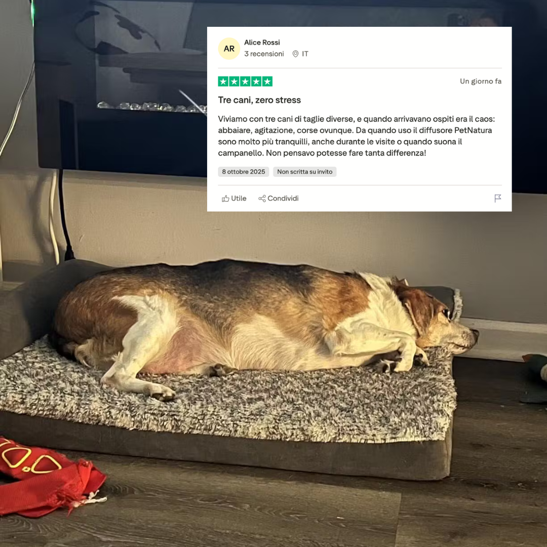 Diffusore Calmante per Cani