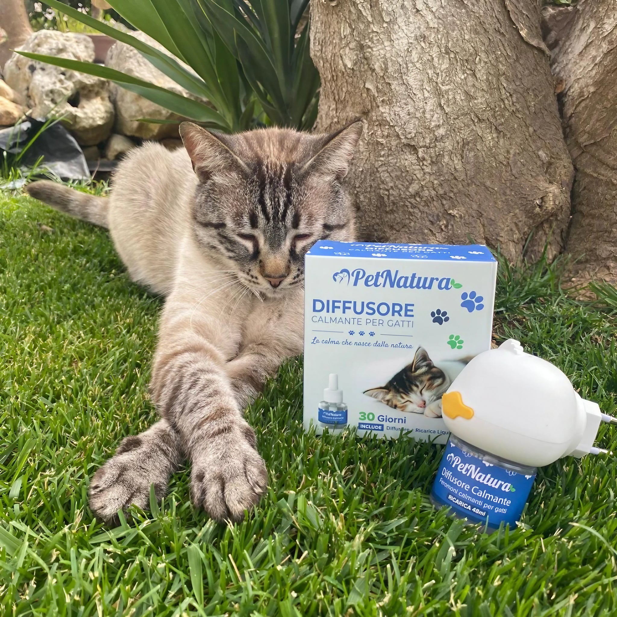 Diffusore Calmante per Gatti
