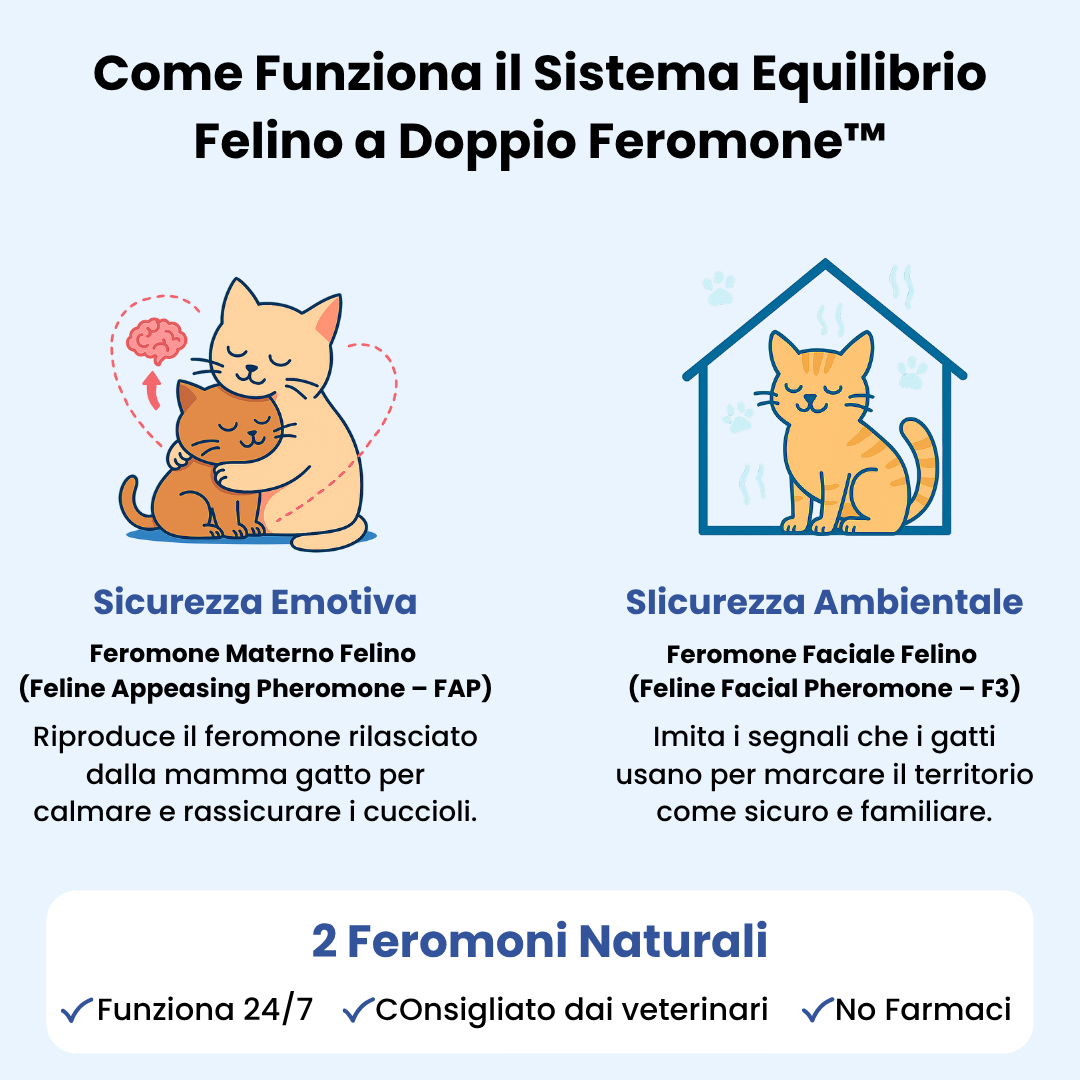 Feliminder (1) copy.png__PID:9e70ae58-1d90-4a0d-97f8-55ec139dbb37